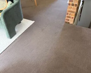 Cleaning services in Terrey Hills