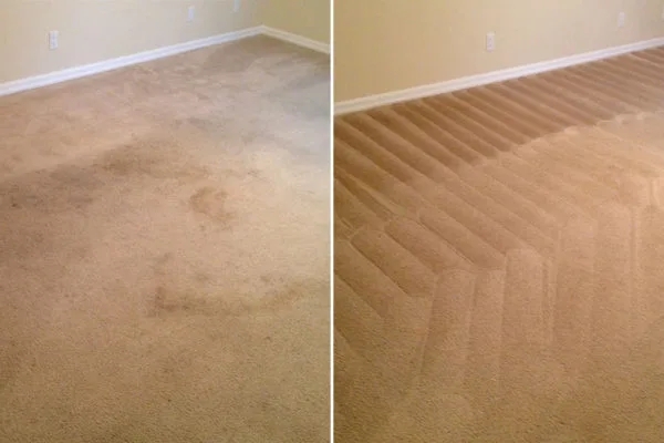 Carpet Cleaning Services North Shore