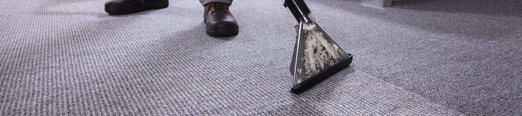 Professional carpet cleaning North Shore