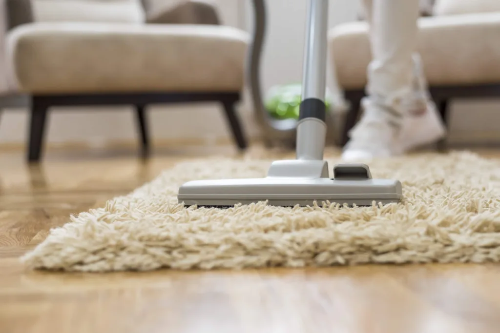 Vacuum cleaner head on a thick shaggy rug in a modern living room, showing residential carpet cleaning in action.