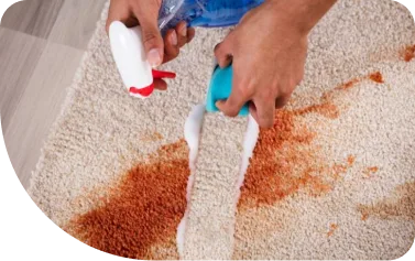 Carpet Stain Removing professionals North Shore
