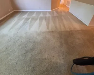 carpet cleaning WarrieWood