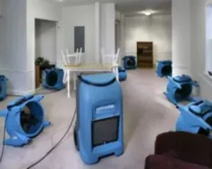 carpet cleaning services davidson
