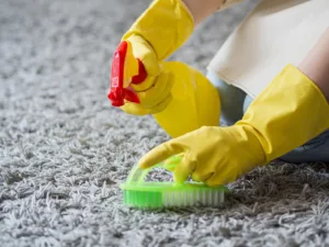carpet cleaning services in Brookvale