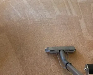 carpet cleaning services