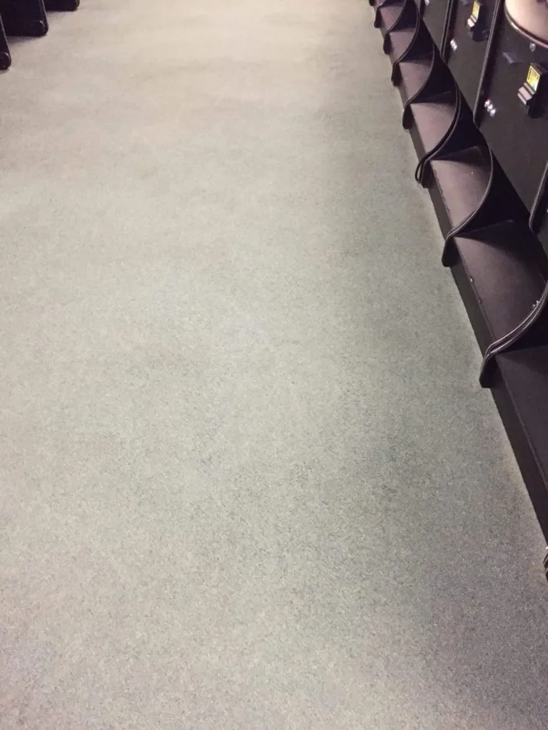 Professionally Cleaned Carpet North Shore Carpet Cleaning