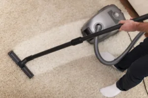 professional carpet cleaning services in Narrabeen
