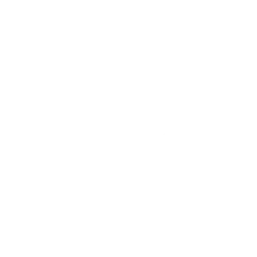 Rug cleaning Service Icon