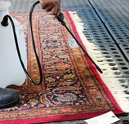 Rug Cleaning Professionals North Shore Carpet Cleaning