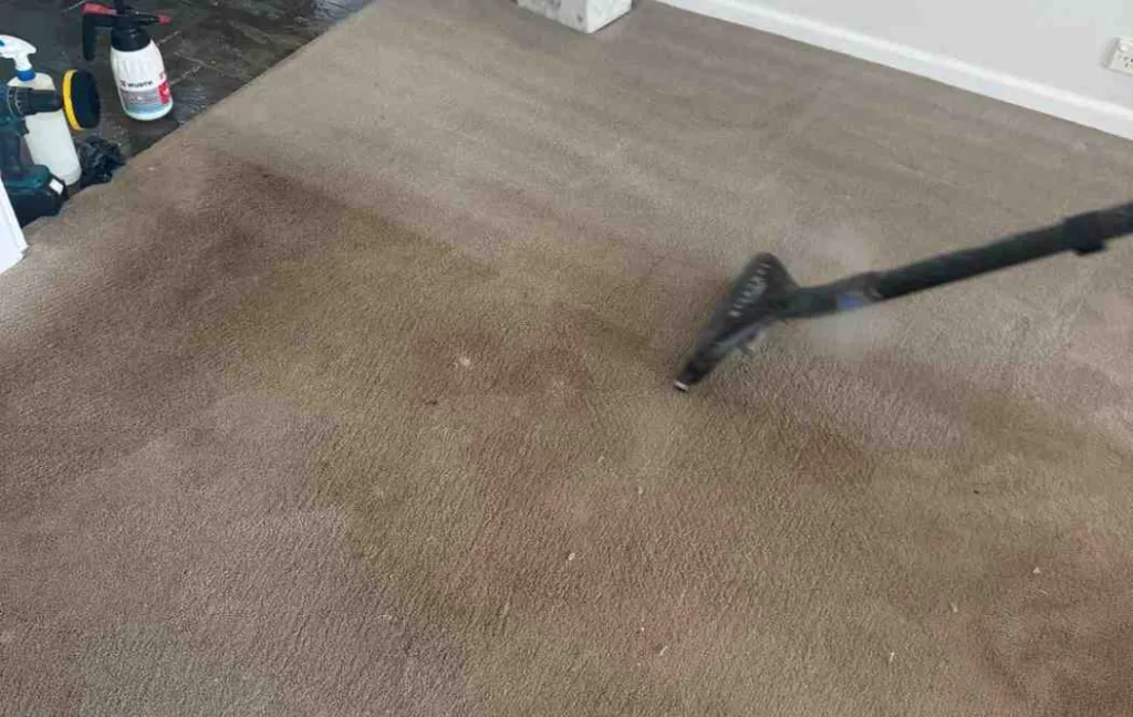 Carpet Cleaning Gordon