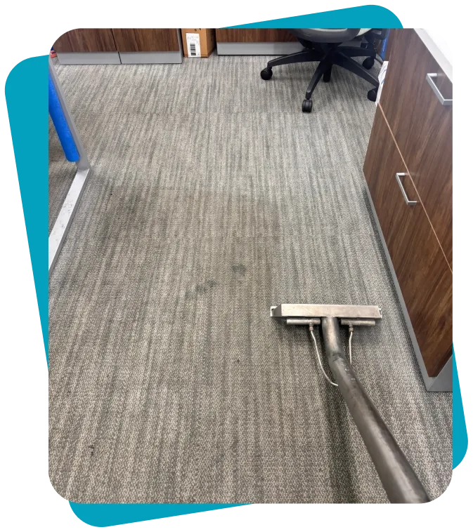 Reliable Carpet Cleaning Services North Shore