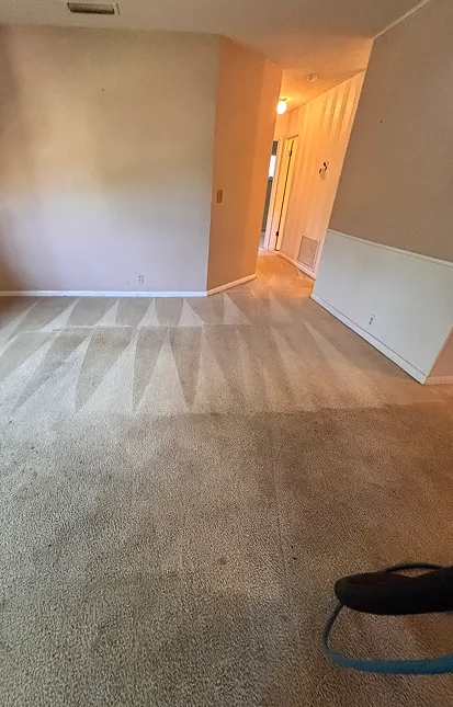 Professionally cleaned carpet at North Shore Carpet Cleaning