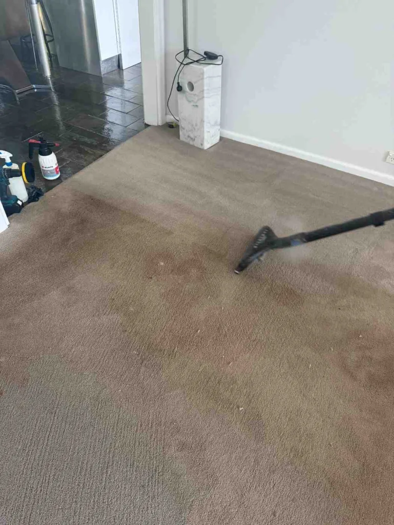 Carpet Cleaning in Roseville