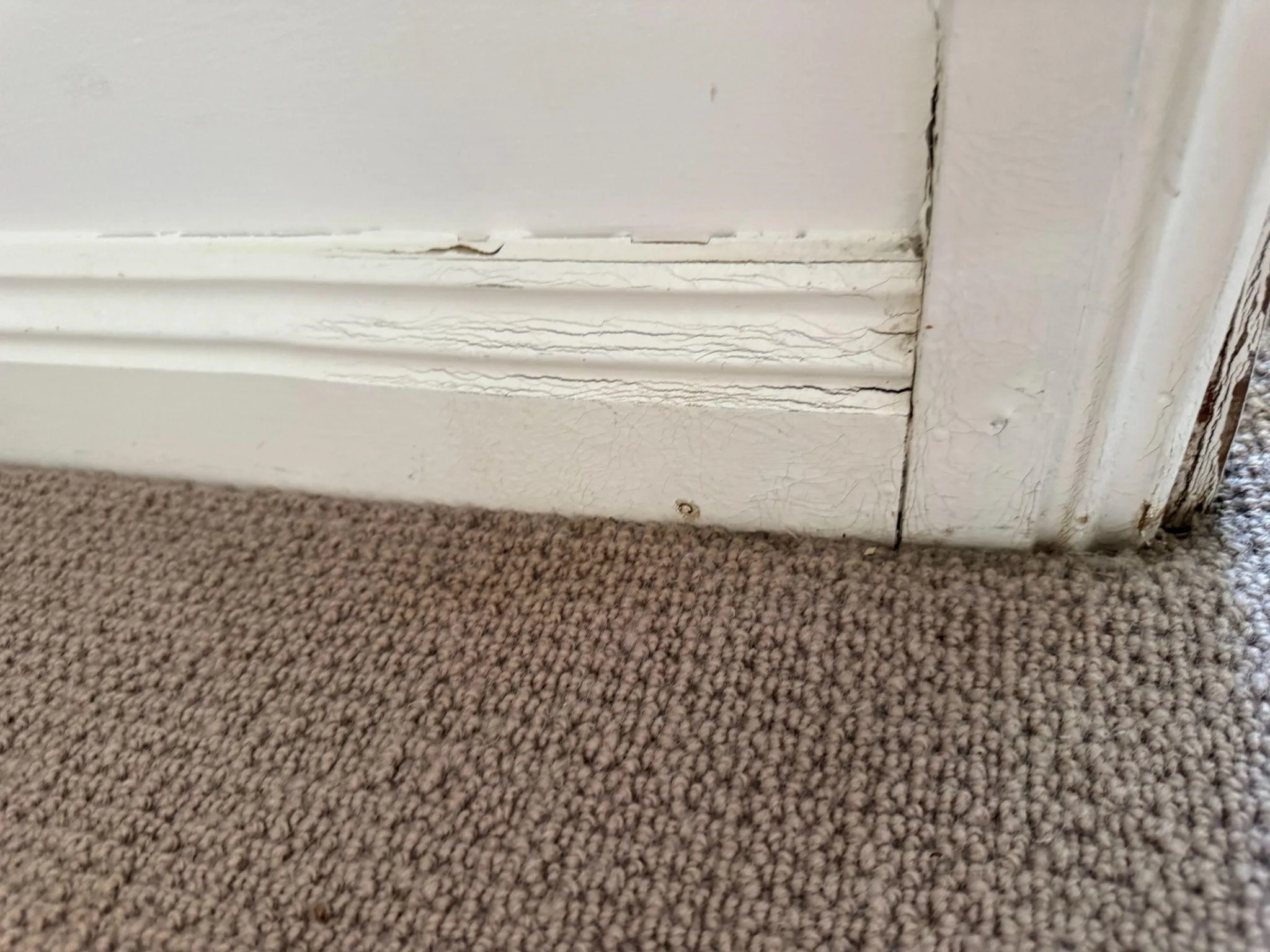 Restoring a Wool Rug in Mosman