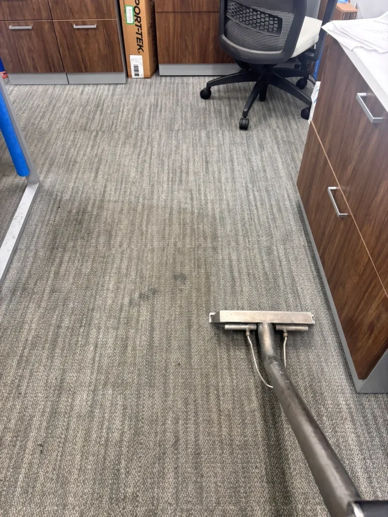 Carpet Cleaning Specialists North Shore