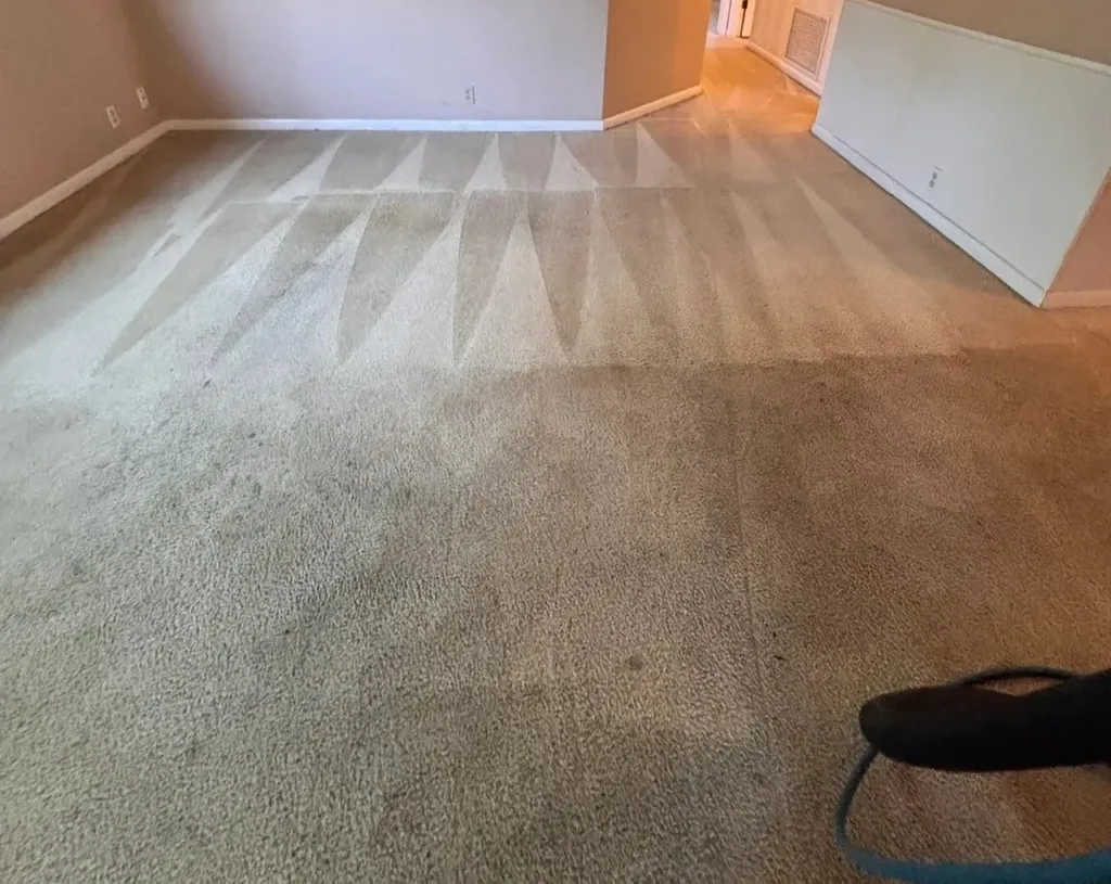 Carpet Cleaning north shore