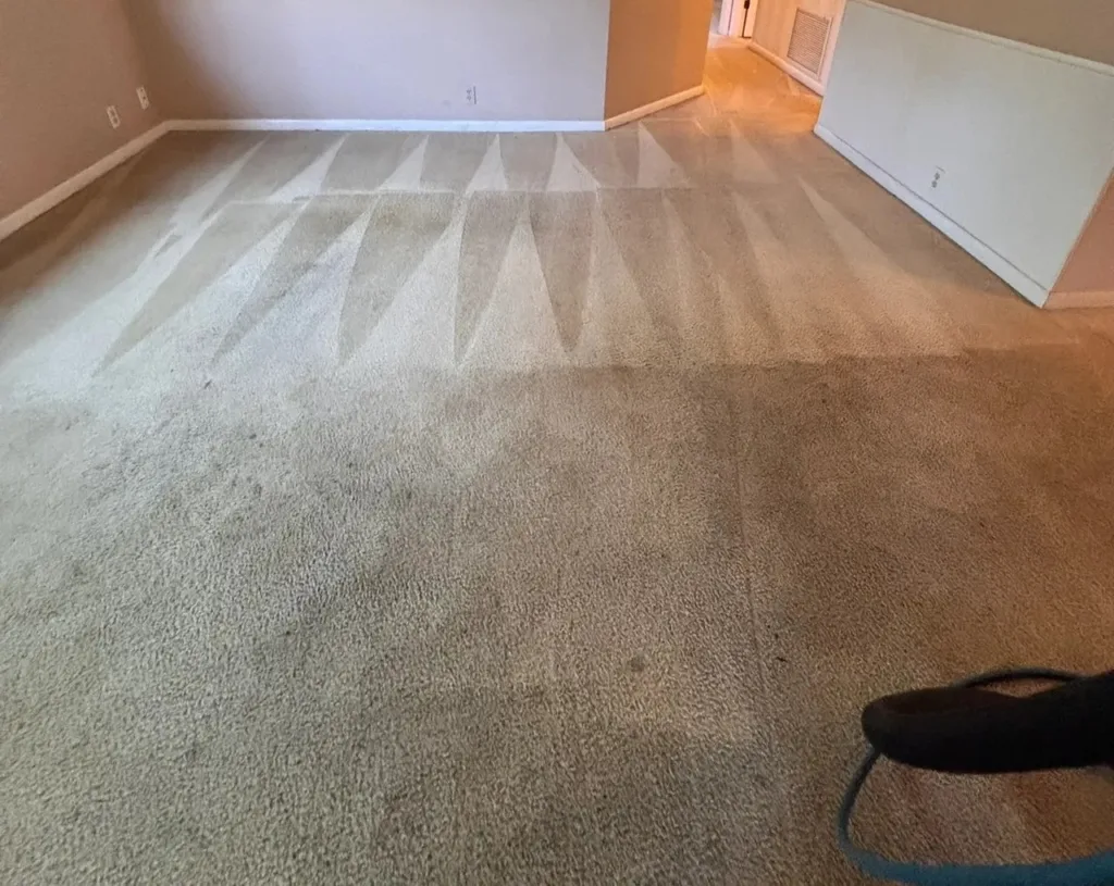 Carpet Cleaners North Shore Sydney.