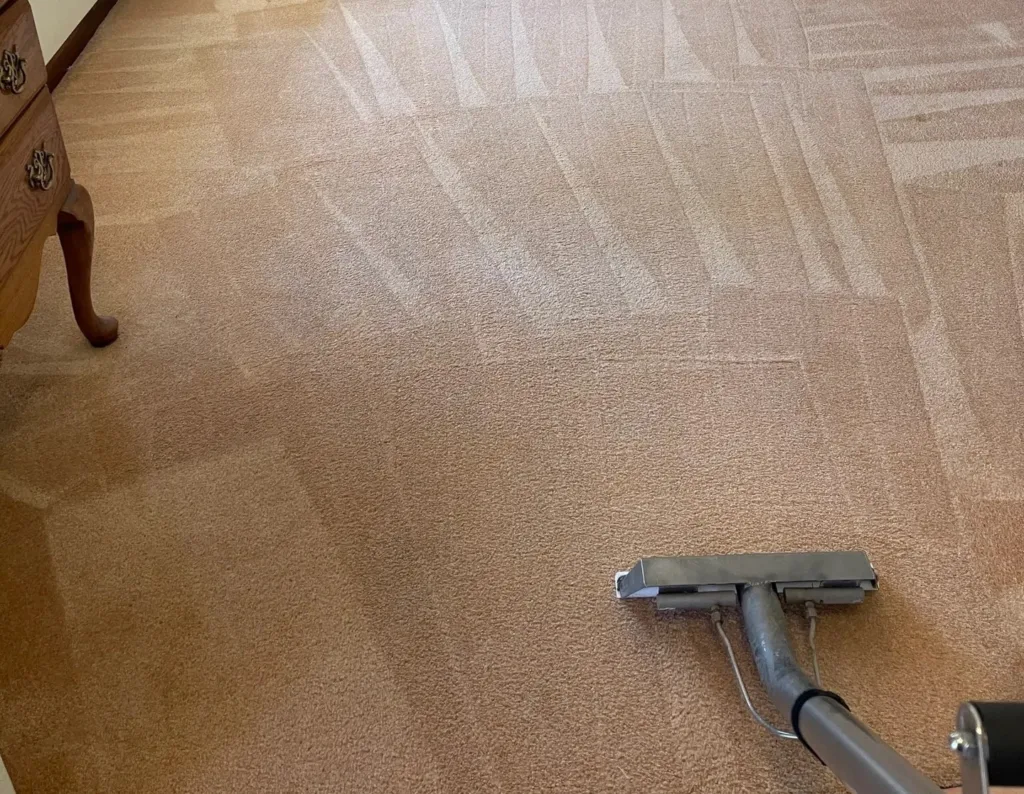 Professional Carpet Cleaning North Shore