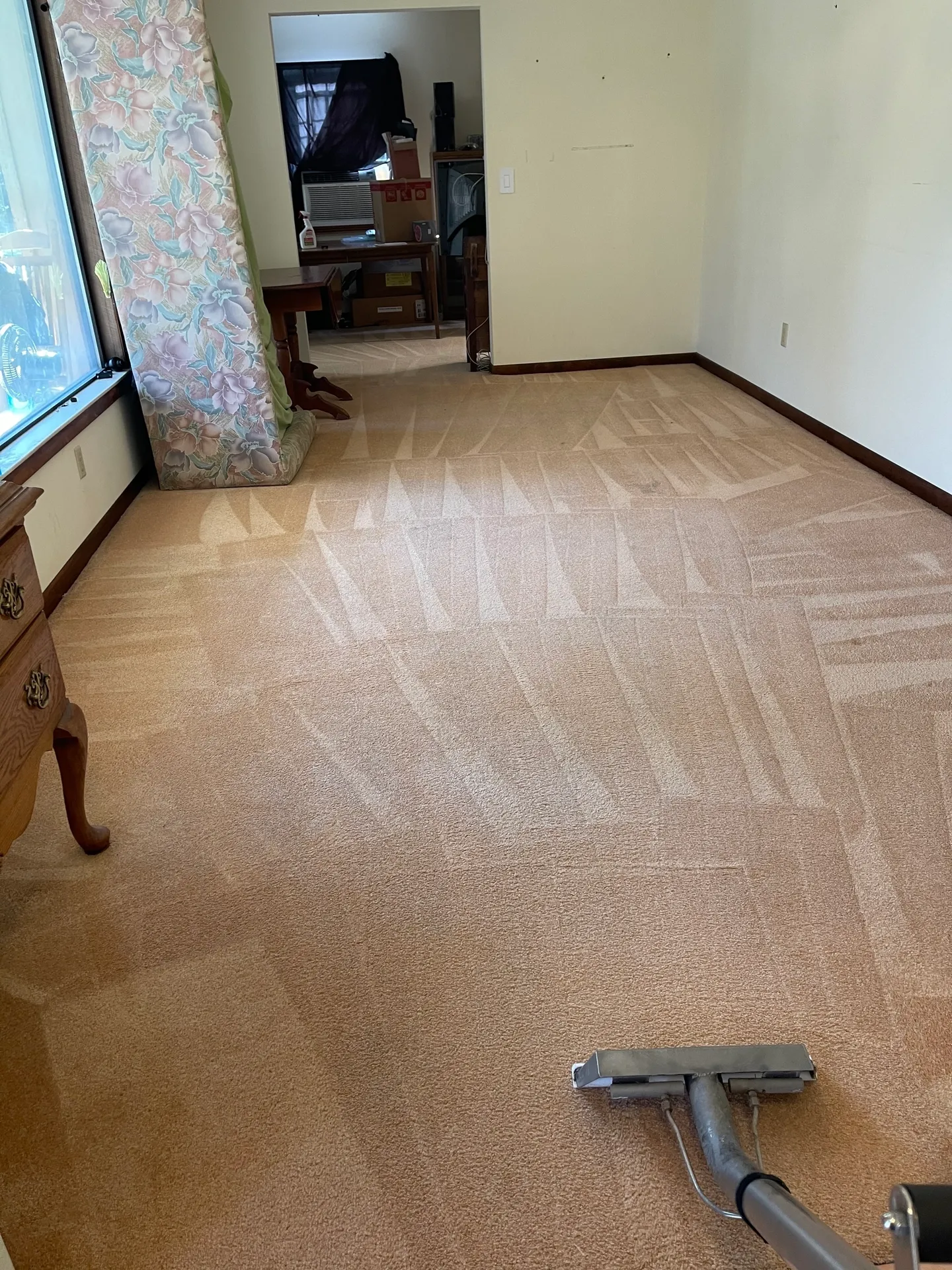 Professional Carpet Cleaning North Shore