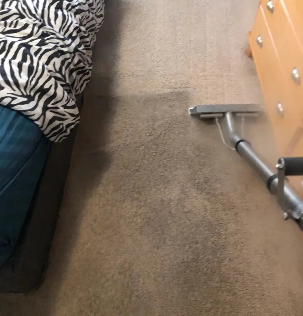 Professional Carpet Cleaning North Shore