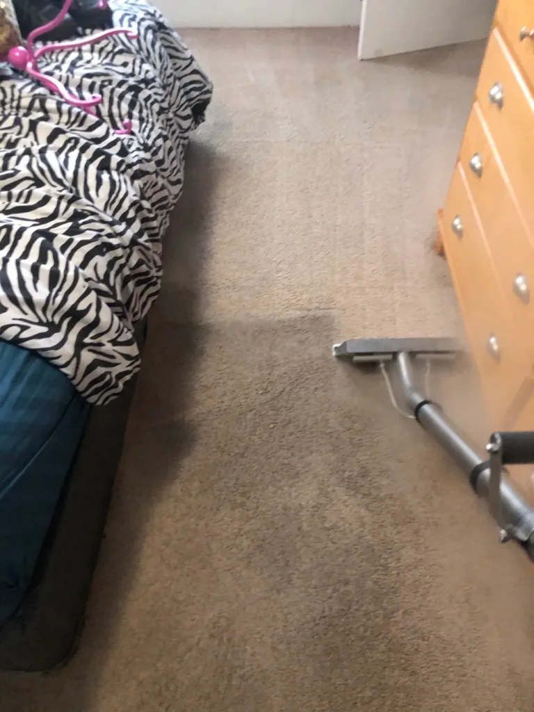 Professional carpet cleaning by vacuum