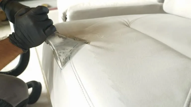 Professional Leather Cleaning