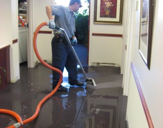 Professional water Restoration