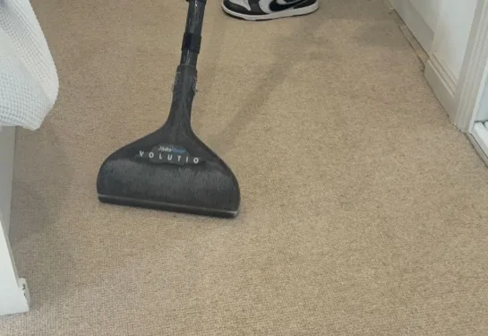 commercial carpet steam cleaning