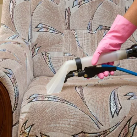 couch cleaning North Shore