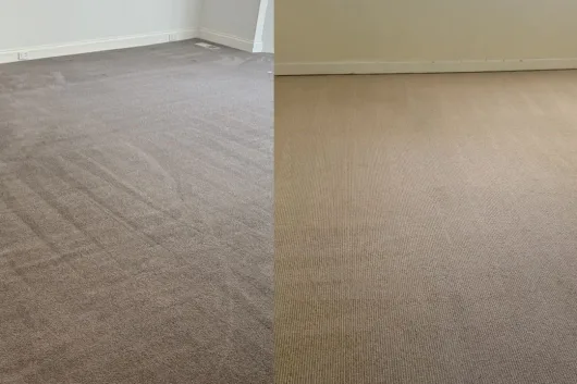 local carpet cleaning company