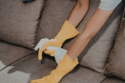 local upholstery and furniture cleaning