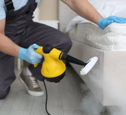 professional mattress cleaning