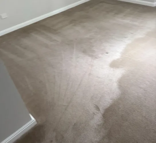 tile floor grout cleaner